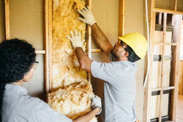 Best Residential Insulation Services  in Flat Rock, NC