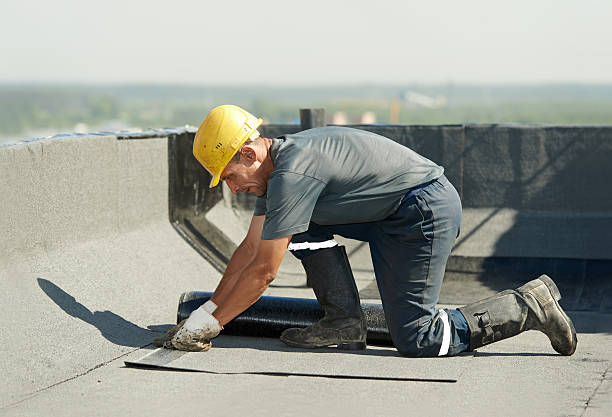 Best Best Insulation Companies  in Flat Rock, NC