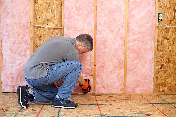 Best Insulation Contractors for Homes  in Flat Rock, NC